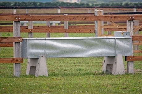 Cattle drinking Trough Stands
