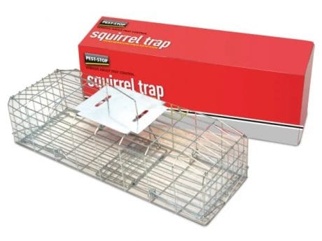 Squirrel Cage Trap