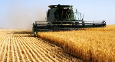 Harvest Supplies