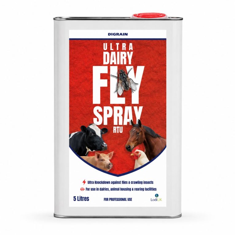 fly